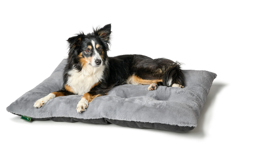 ROCKFORD Blanket - Hunter Pet Store -top with very soft and cuddly plush -padded for a high lying comfort -can be rolled up, fixed with Velcro straps and transported in a space-saving way -ideal for traveling -with practical carrying handle -washable at 90°F