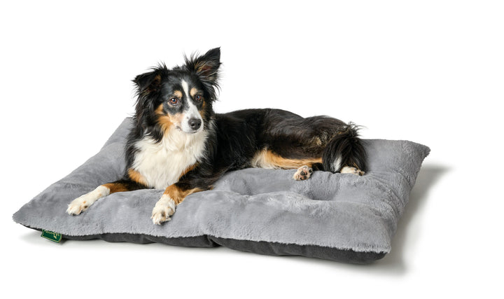 ROCKFORD Blanket - Hunter Pet Store -top with very soft and cuddly plush -padded for a high lying comfort -can be rolled up, fixed with Velcro straps and transported in a space-saving way -ideal for traveling -with practical carrying handle -washable at 90°F