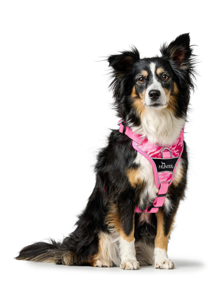 DIVO Camouflage Harness - Hunter Pet Store -Fashionable camouflage pattern -Front entry option for head shy dogs -5-way adjustment for ergonomic fit -Comfortable padding with soft, breathable mesh material and neoprene -Highly reflective thanks to 3M™ Scotchlite™ Reflective material and HUNTER logo print -With two D-rings for leashing to the dog's back or chest area -D-ring in the chest area can be "hidden" with a flick of the wrist