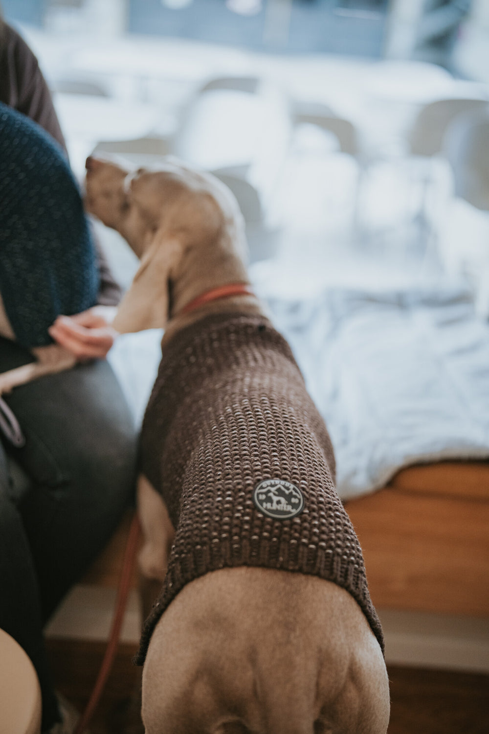FINJA Pullover Sweater - Hunter Pet Store -Warm knitted pullover for cold to very cold days -With reflective yarn for more visibility -Simple, fashionable design -Pleasantly soft and cuddly -High elasticity for optimum freedom of movement -Washable at 86 °F
