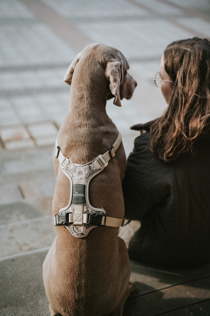 DIVO Camouflage Harness - Hunter Pet Store -Fashionable camouflage pattern -Front entry option for head shy dogs -5-way adjustment for ergonomic fit -Comfortable padding with soft, breathable mesh material and neoprene -Highly reflective thanks to 3M™ Scotchlite™ Reflective material and HUNTER logo print -With two D-rings for leashing to the dog's back or chest area -D-ring in the chest area can be "hidden" with a flick of the wrist