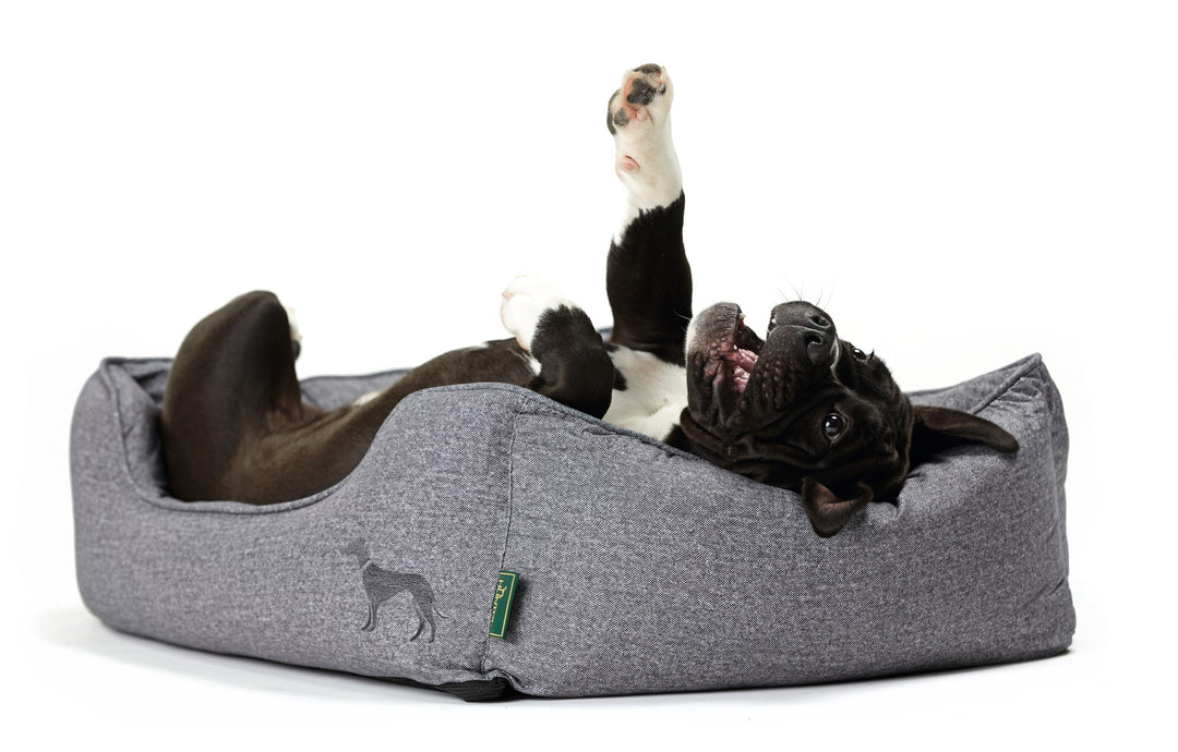 BOSTON Sofa - Hunter Pet Store -Cozy, classic dog sofa with reversible cushions -Reversible cushions, with soft plush trimming on one side -Bulky filling and pleasant feel -With zipper removable cover -Slip-resistant underside -Cover washable at 140°F