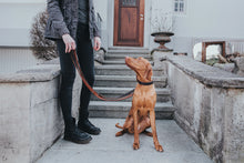 Load image into Gallery viewer, Adjustable leash CODY