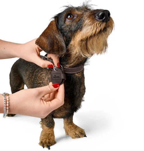 Dog Tag Case Pendant AALBORG - Hunter Pet Store -Pendant to attach to the collar -Case for dog tags such as tax disc or name tag -Protects the dog tags -Prevents jingling -Made in Germany