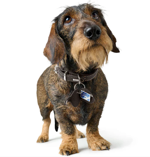 Dog Tag Case Pendant AALBORG - Hunter Pet Store -Pendant to attach to the collar -Case for dog tags such as tax disc or name tag -Protects the dog tags -Prevents jingling -Made in Germany