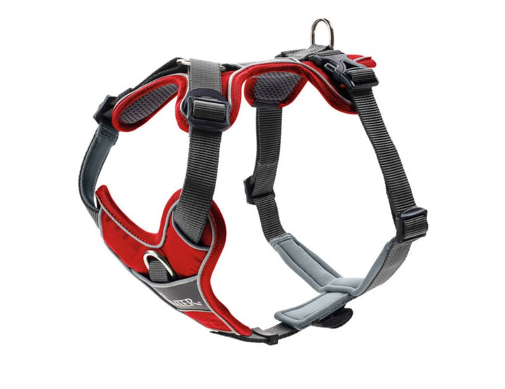 DIVO Harness - Hunter Pet Store -five-point adjustment -ergonomic fit -comfortable padding with soft, breathable mesh material and neoprene -highly reflective thanks to the 3M™ Scotchlite™ Reflective Material and HUNTER logo print -features two D-rings for attaching a leash to the dog’s back and chest -the D-ring on the chest can be tucked away easily
