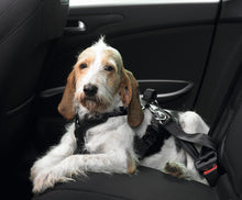 Load image into Gallery viewer, Car safety harness EASY COMFORT