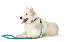 Load image into Gallery viewer, Adjustable leash HILO