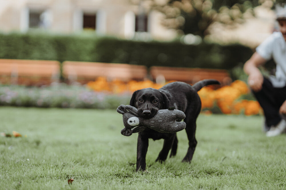 TIRANA Bear Dog toy - Hunter Pet Store -cute animal dog toy, without squeaker -for playing, cuddling and loving -made of up-cycled outer material and recycled filling -attractive yet tough material mix of wool and polyester -washable at 86 °F -10.63 in