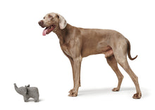Load image into Gallery viewer, Dog toy EIBY Elephant