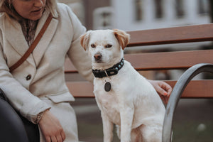 Collar MODICA