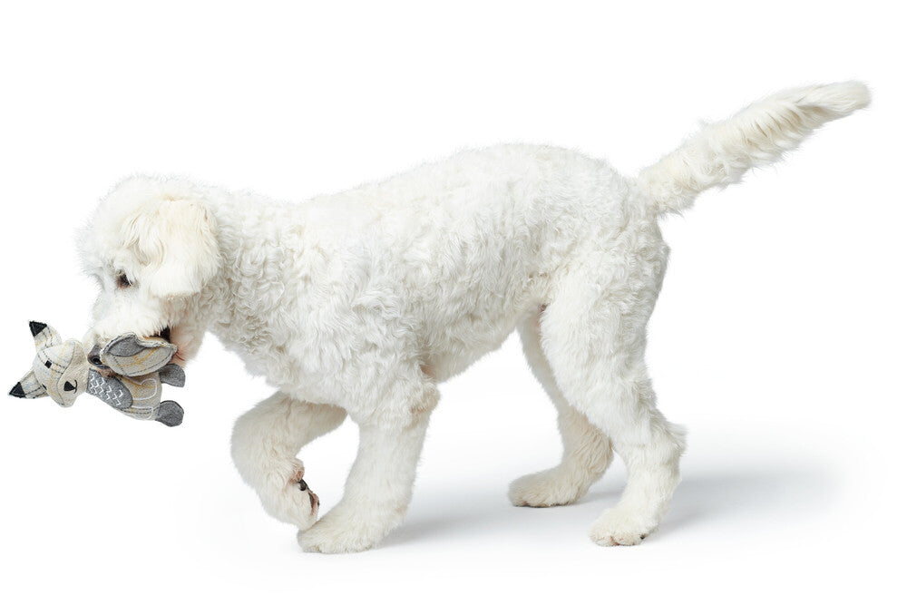 BILLUND Fox Dog toy - Hunter Pet Store -dog toy for cuddling and sniffing games -for dogs of all sizes and ages -made from 100% recycled materials -without squeaker -with or without filling depending on model -can be easily picked up and retriever -playmat: ideal for physical and mental exercise -9.06 in