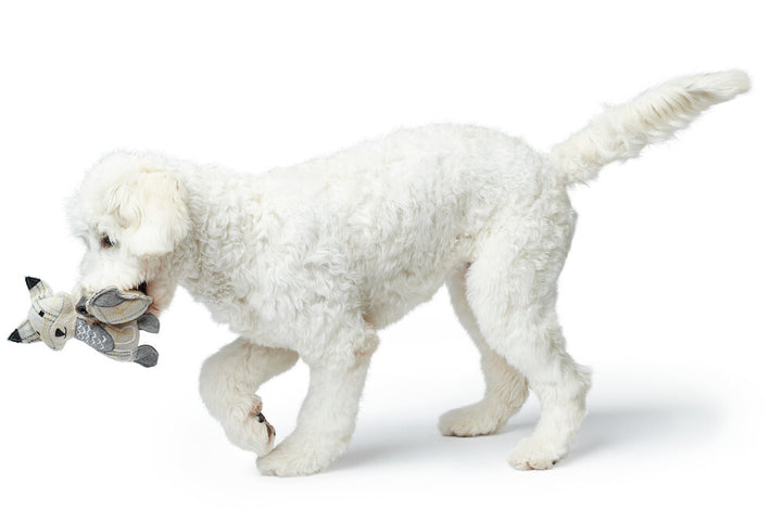 BILLUND Fox Dog toy - Hunter Pet Store -dog toy for cuddling and sniffing games -for dogs of all sizes and ages -made from 100% recycled materials -without squeaker -with or without filling depending on model -can be easily picked up and retriever -playmat: ideal for physical and mental exercise -9.06 in