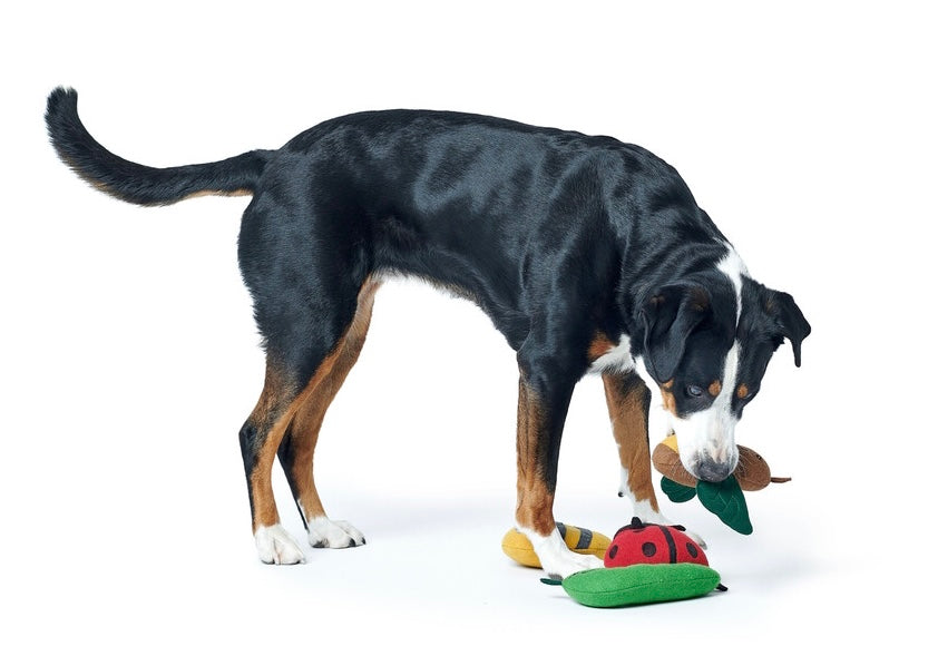 FLORENZ Ladybug Dog toy - Hunter Pet Store -cute toy in insect look, without squeaker -for small and medium-sized dogs -pleasantly grippy material mix -for playing, cuddling and loving -made from up-cycled outer material and recycled filling -washable at 90 °F -8.66 in