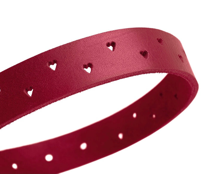 AALBORG Soul Collar - Hunter Pet Store -classic collar, universally usable -especially well-suited to use in dog sports due to a liberal application of oil -particularly tough and hard-wearing leather -with charming heart punching -made in Germany