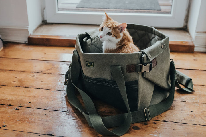 MADISON Dog carrier & blanket - Hunter Pet Store -can be folded out and used as a travel blanket -with practical exterior pockets and dog waste bag carrier -can be carried in the hand or using the shoulder strap -max. load of 15 lbs Size of the bag - length 15.7" x width 9.8" x height 9.8" Size of the blanket - length 36" x width 25.5"
