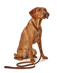 Adjustable leash SOLID EDUCATION