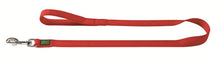 Load image into Gallery viewer, Leash NYLON Basic
