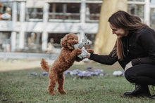 Load image into Gallery viewer, Dog toy BILLUND Fox