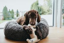 Load image into Gallery viewer, Dog toy TIRANA Lama