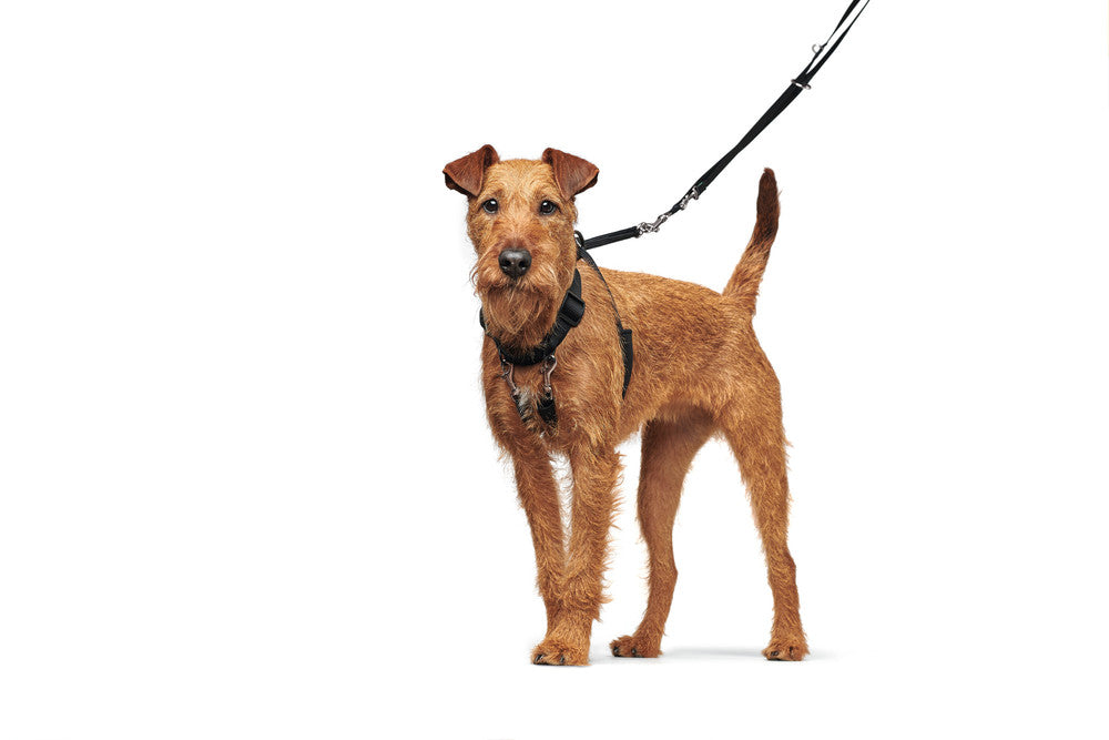 SIDE-BY-SIDE Harness - Hunter Pet Store -Ideal training harness recommended by many dog obedience school -Designed to help dogs learn to walk comfortably beside their owners -Particularly beneficial for puppies during training sessions - Facilitates close and controlled walking experiences