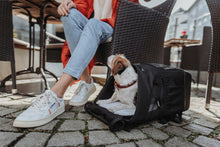 Load image into Gallery viewer, Flight bag &amp; backpack MILES