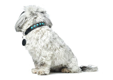 Load image into Gallery viewer, Collar MODICA