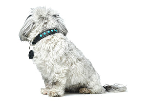 Collar MODICA