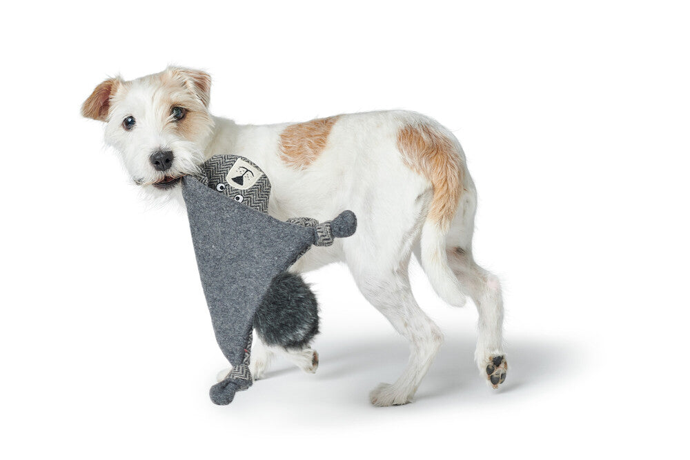 BILLUND Flat Bear Dog toy - Hunter Pet Store -dog toy for cuddling and sniffing games -for dogs of all sizes and ages -made from 100% recycled materials -without squeaker -with or without filling depending on model -can be easily picked up and retrieved -play-mat: ideal for physical and mental exercise -15.75 in
