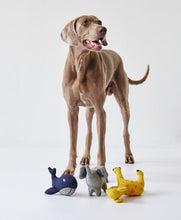 Load image into Gallery viewer, Dog toy EIBY Whale