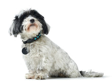 Load image into Gallery viewer, Collar MODICA