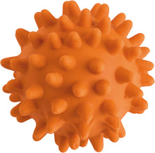 Load image into Gallery viewer, Dog Toy HEDGEHOG Ball