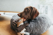 Load image into Gallery viewer, Dog toy BARRY Wolf