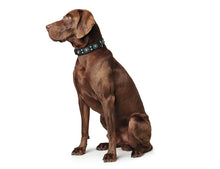 Load image into Gallery viewer, Collar SIOUX