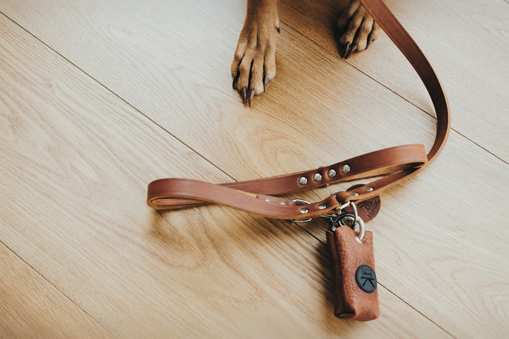 YUNA LUXUS Waste bag holder - Hunter Pet Store -stylish poo bag dispenser for every day -flexible fastening options thanks to robust ring carabiner -easy removal of individual bags -one roll of poo bags included -made in Germany