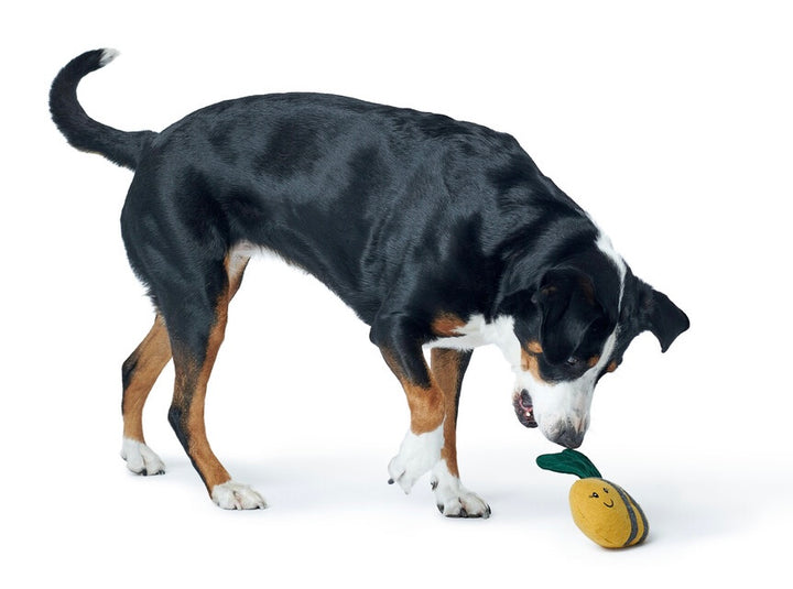 FLORENZ BumbleBee Dog toy - Hunter Pet Store -cute toy in insect look, without squeaker -for small and medium-sized dogs -pleasantly grippy material mix -for playing, cuddling and loving -made from up-cycled outer material and recycled filling -washable at 90 °F -8.66 in