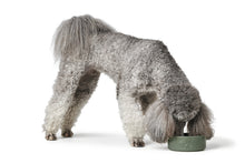 Load image into Gallery viewer, Feeding Bowl OSBY Ceramic