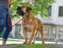 Load image into Gallery viewer, Adjustable Leash FREESTYLE Retriever