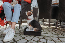 Load image into Gallery viewer, Flight bag &amp; backpack MILES