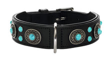 Load image into Gallery viewer, Collar SIOUX