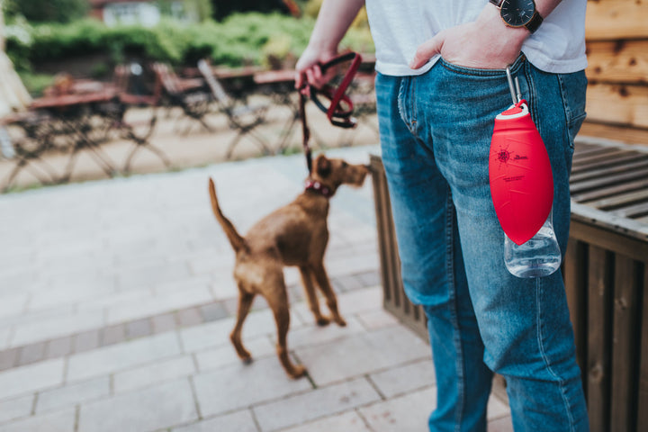 LIST Drinking bottle - Hunter Pet Store -2-in 1 drinking bottle with bowl -with food-safe silicone bowl -ideal for traveling and on the road -pouring device also separately applicable to commercially available bottles -easy to clean and washable
