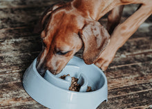 Load image into Gallery viewer, Slow-Feeding bowl ATLANTA large