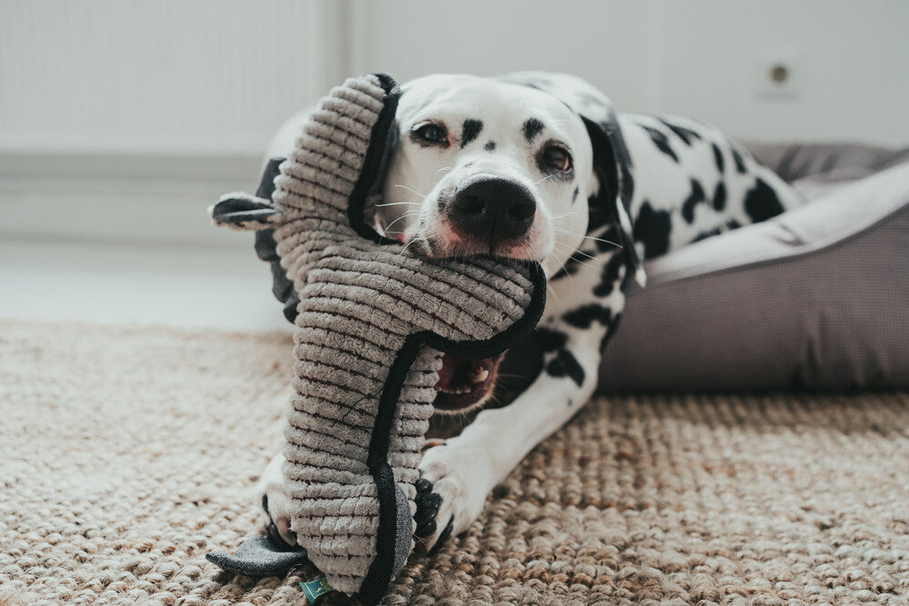 KOLDING Horse Dog toy - Hunter Pet Store -with squeaker -robust mix of materials -washable at 90 °F -14.17 in