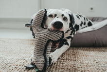 Load image into Gallery viewer, Dog toy KOLDING Horse