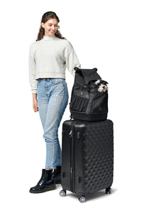 Flight bag & backpack MILES