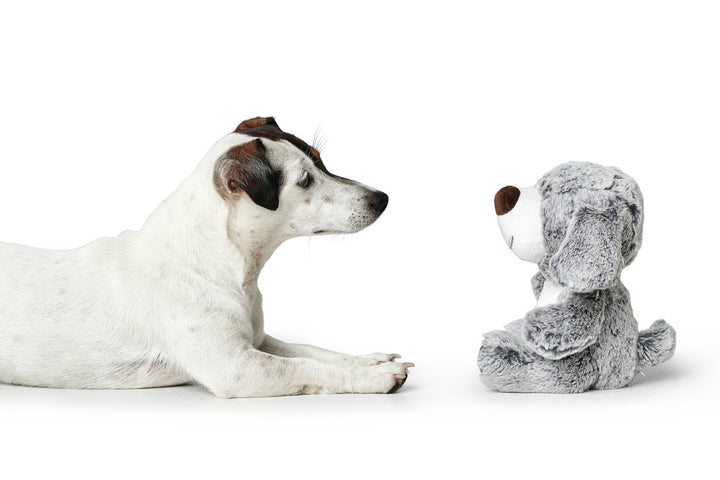FARO Dog Dog toy - Hunter Pet Store -polyester -without squeaker -particularly soft -hand wash -7.48 in