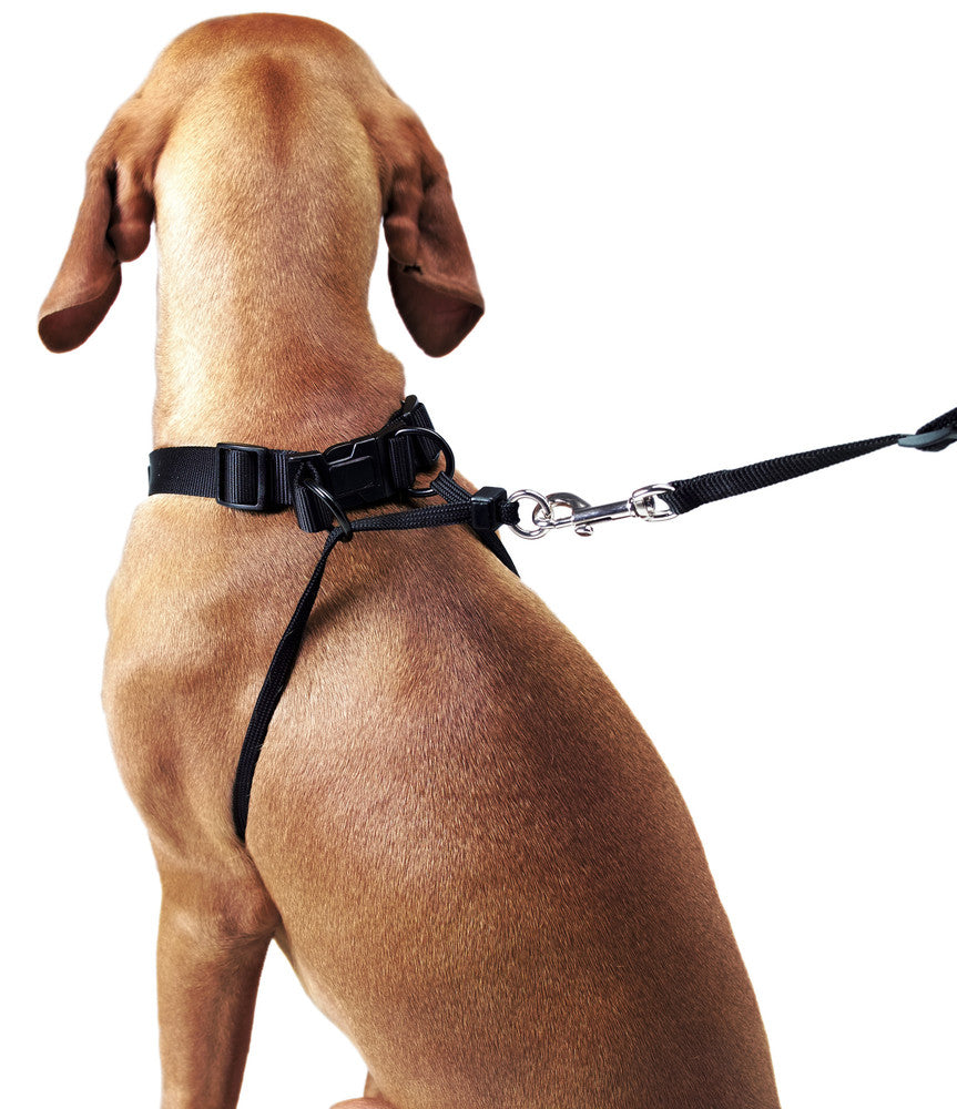 SIDE-BY-SIDE Harness - Hunter Pet Store -Ideal training harness recommended by many dog obedience school -Designed to help dogs learn to walk comfortably beside their owners -Particularly beneficial for puppies during training sessions - Facilitates close and controlled walking experiences