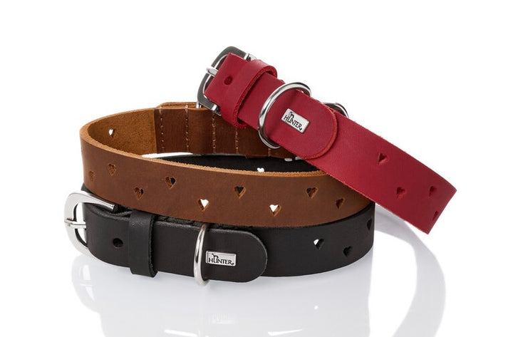 AALBORG Soul Collar - Hunter Pet Store -classic collar, universally usable -especially well-suited to use in dog sports due to a liberal application of oil -particularly tough and hard-wearing leather -with charming heart punching -made in Germany