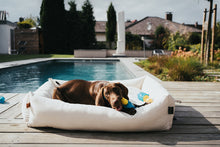 Load image into Gallery viewer, Cooling dog toy ALASKA Walrus