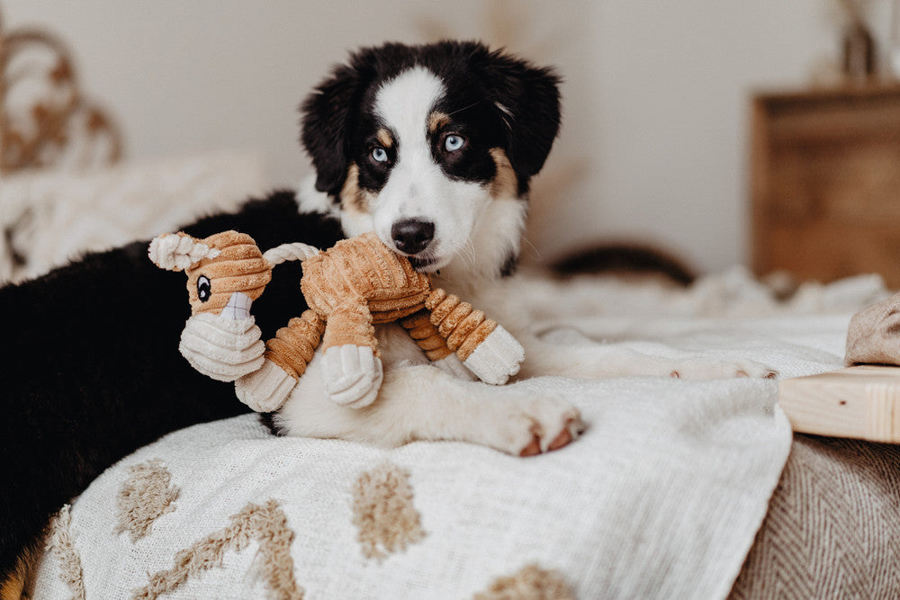 HUGGLY ZOO Giraffe Dog toy - Hunter Pet Store -dog toy to cuddle and love -suitable for small and medium-sized dogs -cute design -with tooth-caring rope -without squeaker -washable at 90 °F -9.45 in